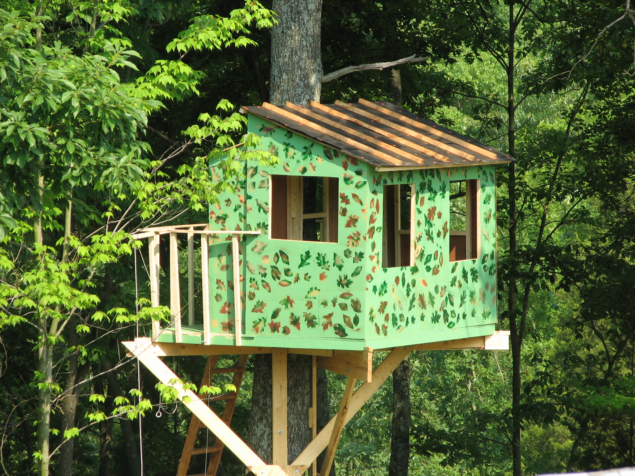 The new treehouse