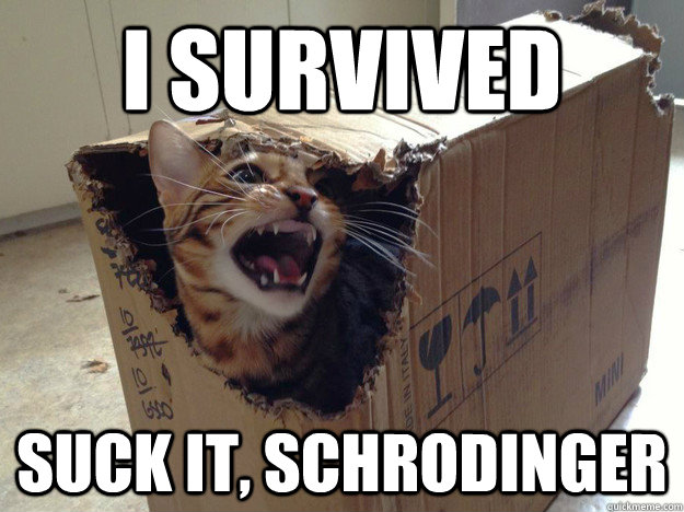 schroedingerscat