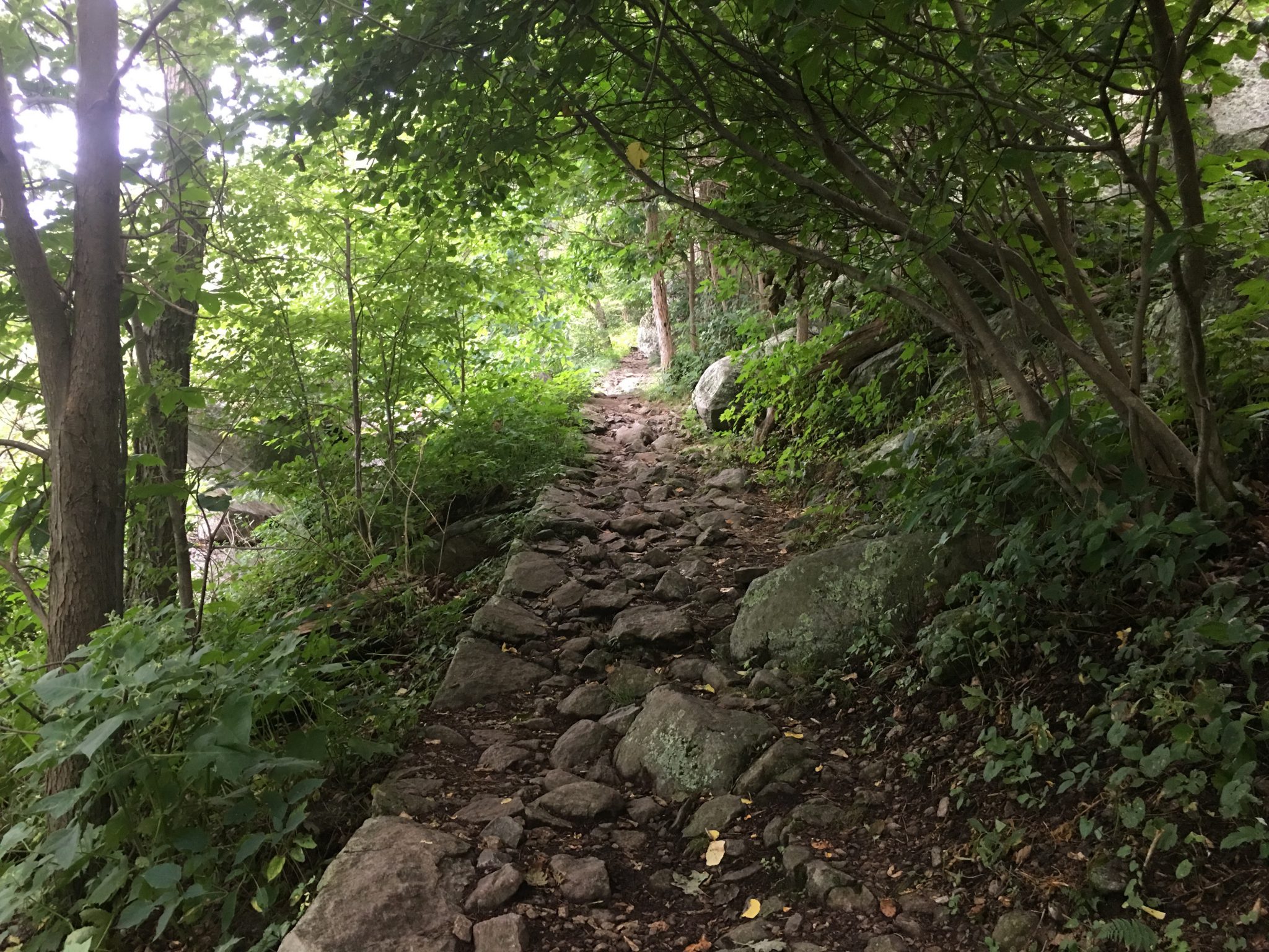 Podcast Appalachian Trail Section Hike part 1