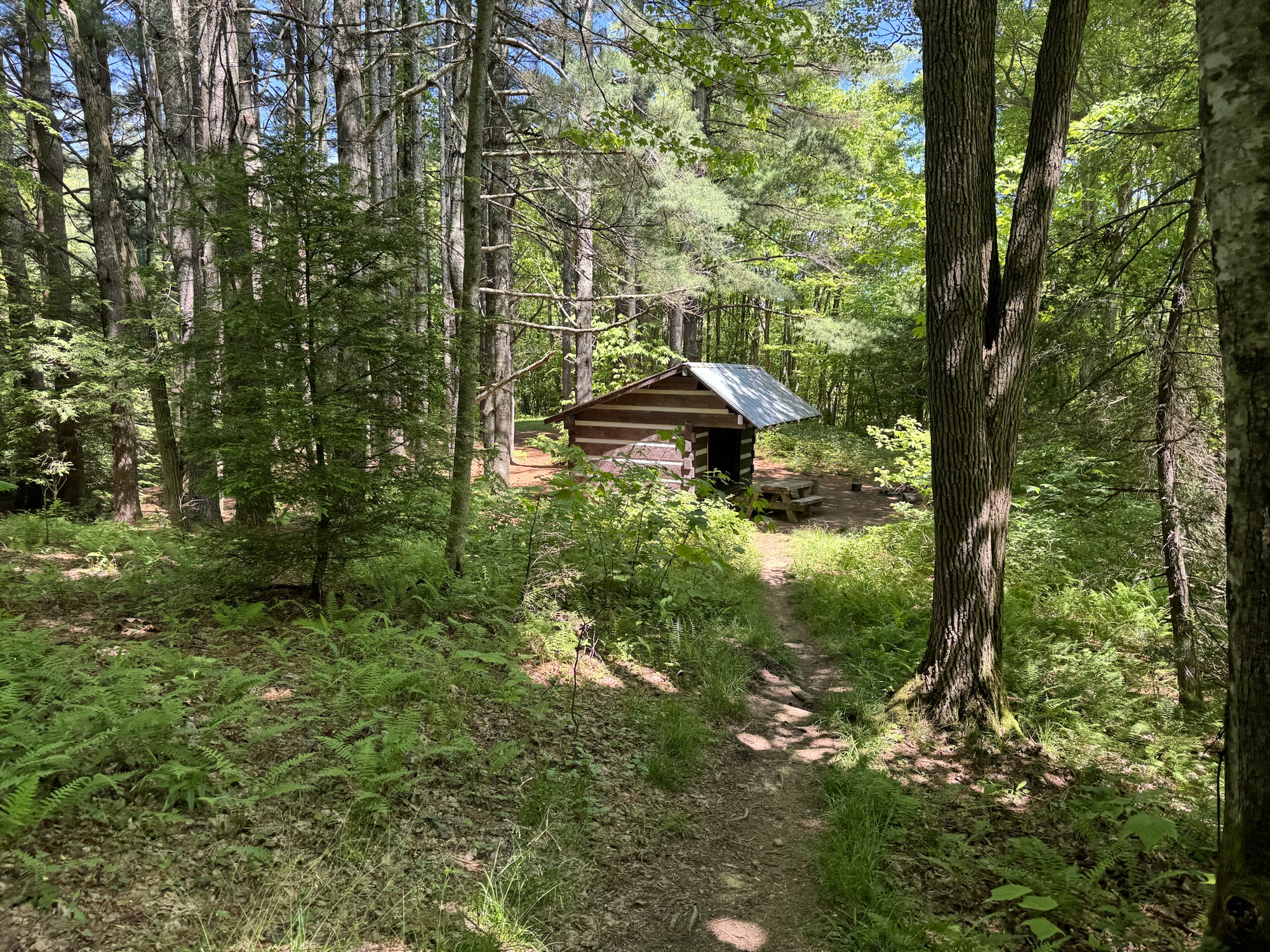 Day 40 – stealth site at 477 to Lost Mountain Shelter